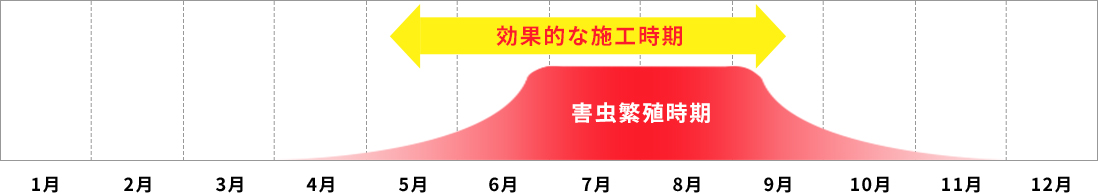 効果的な施工時期