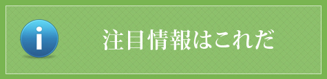 注目情報はこれだ